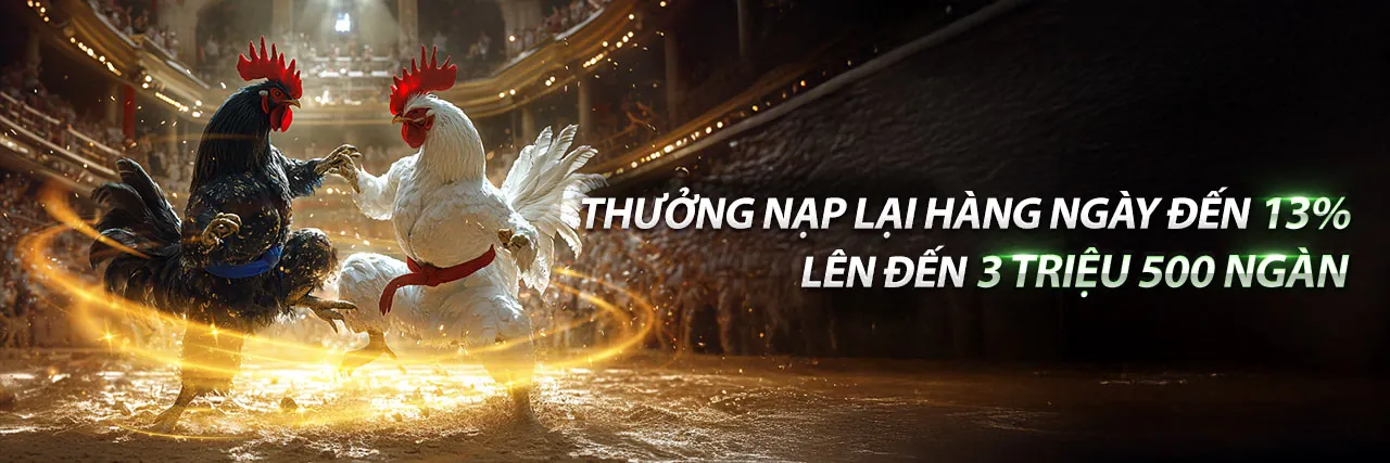 Đá gà Thomo trận 28 hôm qua tại SV388